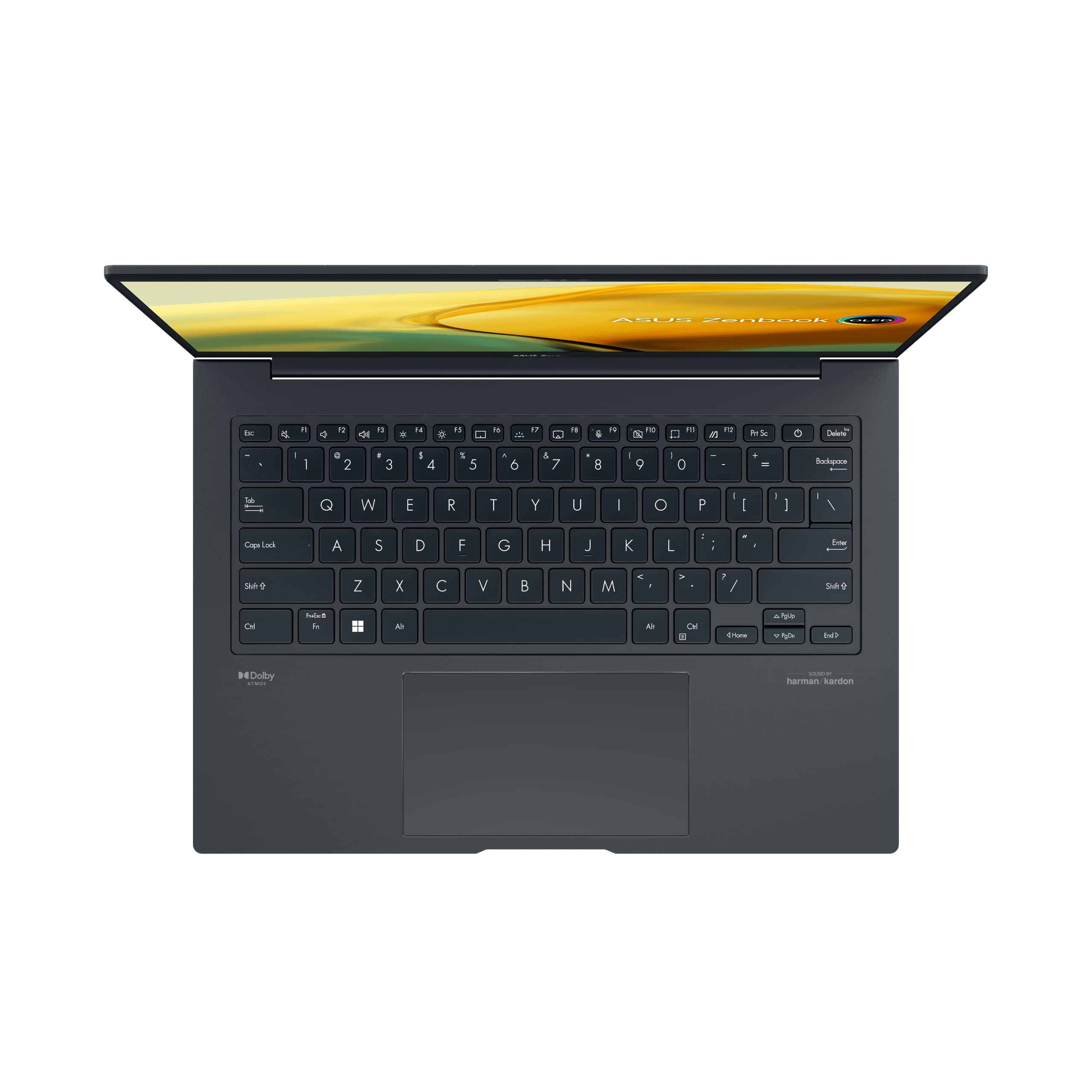 Zenbook 14X OLED Laptops14.5 pulgadas WQXGA+ 120Hz OLED Display